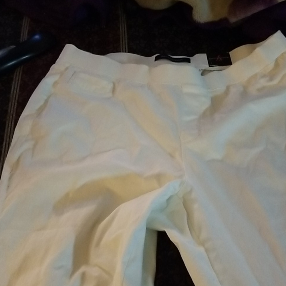 Ankle pants